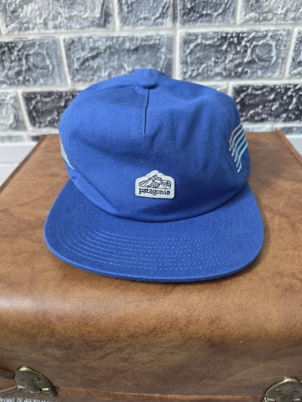 Patagonia Unisex Blue Five-Panel Cap